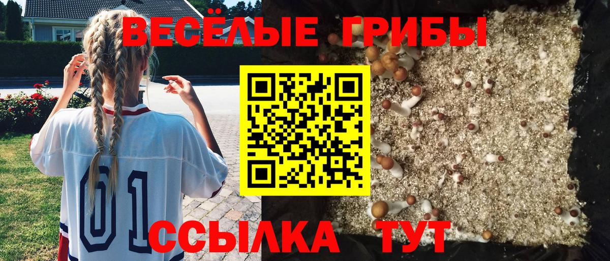 где найти   Псилоцибиновые грибы Cubensis  Вход с VPN  Наро-Фоминск 